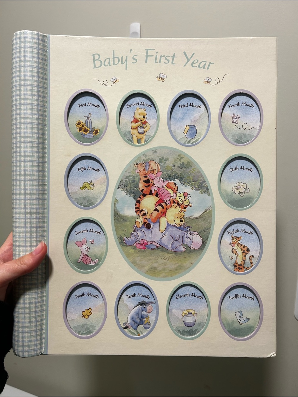 Winnie the Pooh Baby’s First Year Memory / Record Book